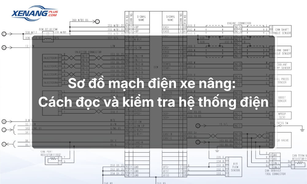 Sơ đồ mạch điện xe nâng: Cách đọc và kiểm tra hệ thống điện